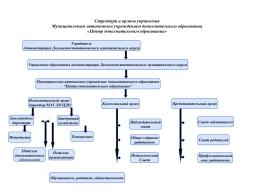 Структура и органы управления МАУ ДО ЦДО